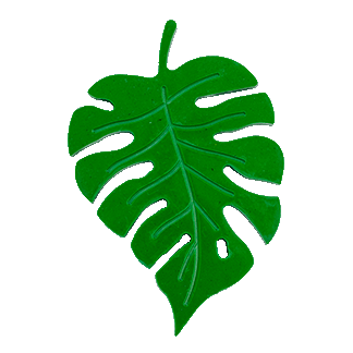 Monstera Leaf dice dish
