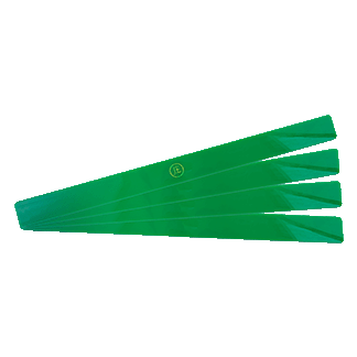 Taiwanese Ruler - Set of 4