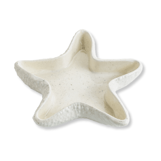 Starfish Concrete Dice Dish
